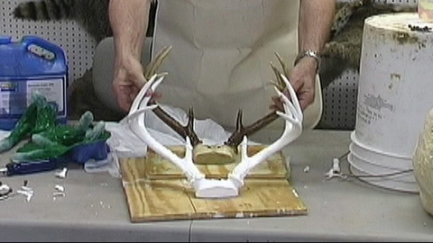 How To Use Dragon Skin™ Silicone to Reproduce Antlers