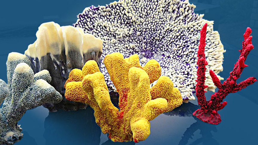 SIMPACT™ 85A - As Strong As It Gets!