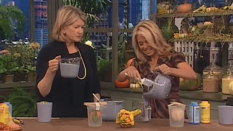 How To Make Gourd Candle Molds With Martha Stewart Using OOMOO™ Silicone