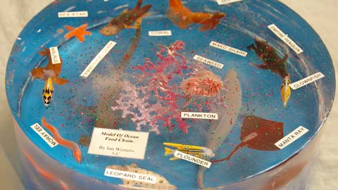 'Ocean Food Chain' Diorama Made With Encapso® K