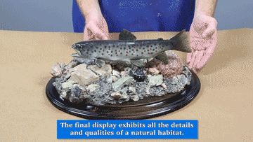 How To Make a Taxidermy Base Using Free Form™ Air Epoxy Putty