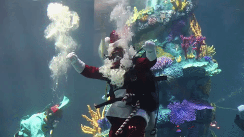 Building the World's Largest Underwater Christmas Tree
